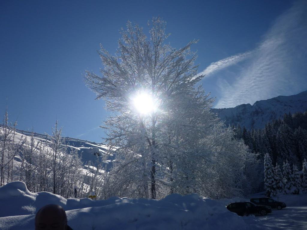 Appartementhaus Alpenrose Wallgau Bagian luar foto